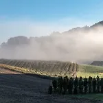 Lackenbauer Muggenau