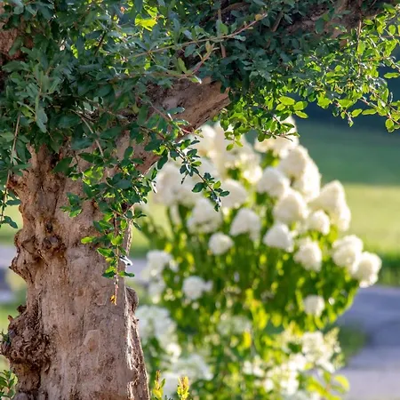 Lejlighed Lackenbauer *