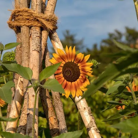 Lejlighed Lackenbauer