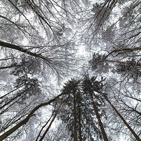 Lackenbauer Lejlighed *