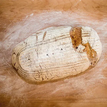 Lackenbauer Lejlighed