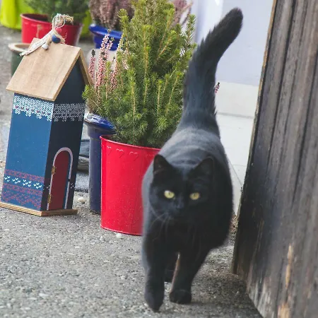 Lejlighed Lackenbauer *