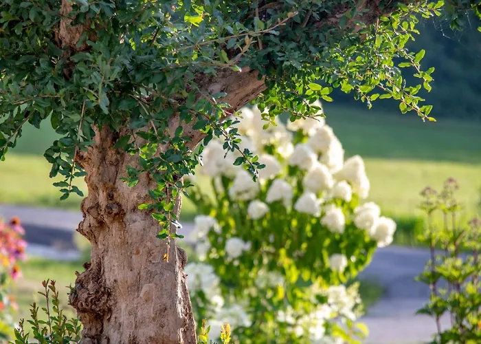 Apartman Lackenbauer *