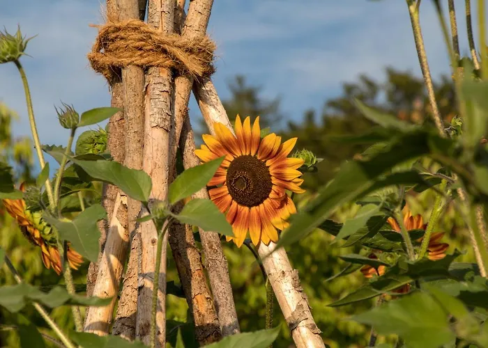 Apartment Lackenbauer