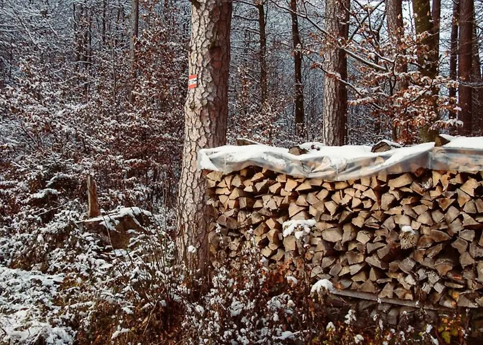 Apartment Lackenbauer