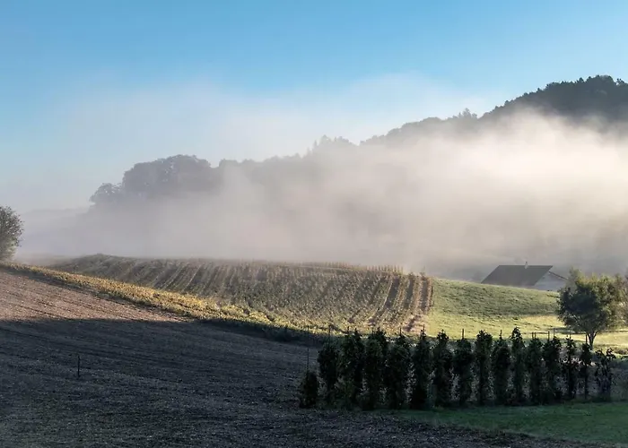 Lackenbauer Muggenau
