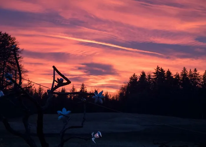 Lackenbauer Apartman Muggenau