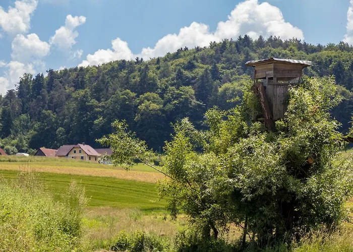 Apartman Lackenbauer Muggenau
