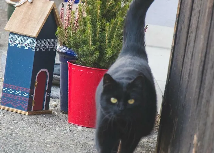 Apartman Lackenbauer *